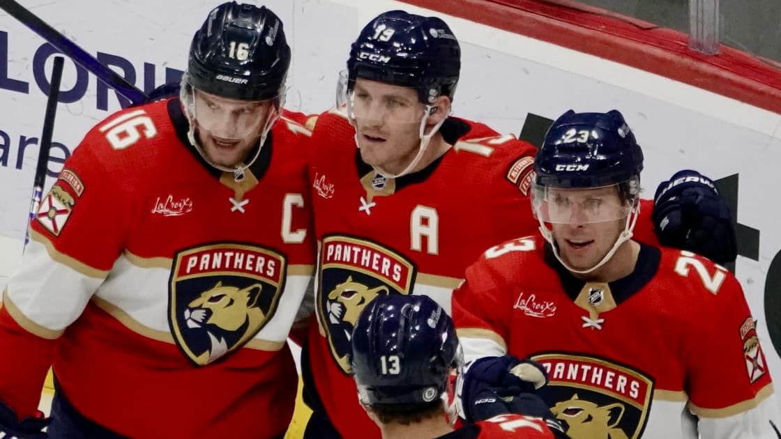 Florida panthers