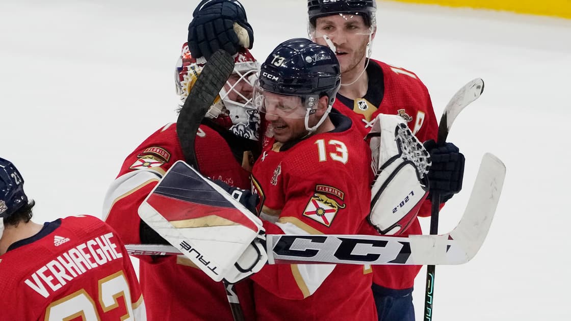 Florida panthers