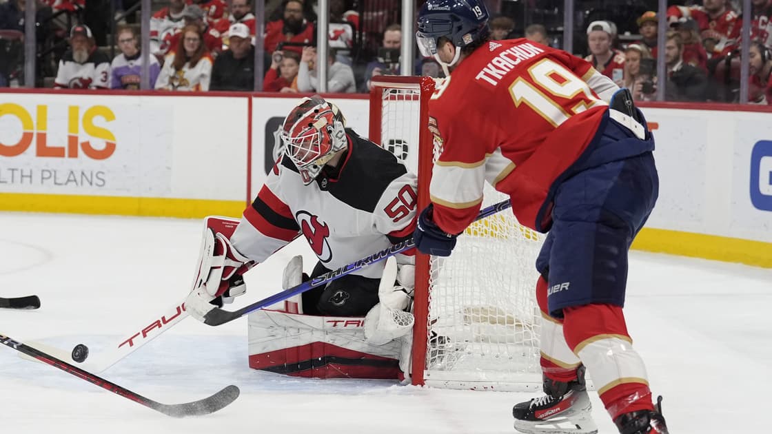 Florida panthers