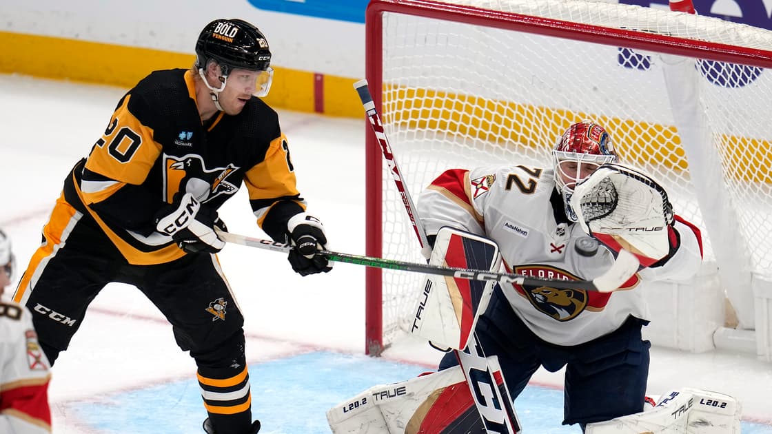 Florida panthers