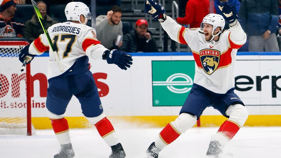 Florida panthers