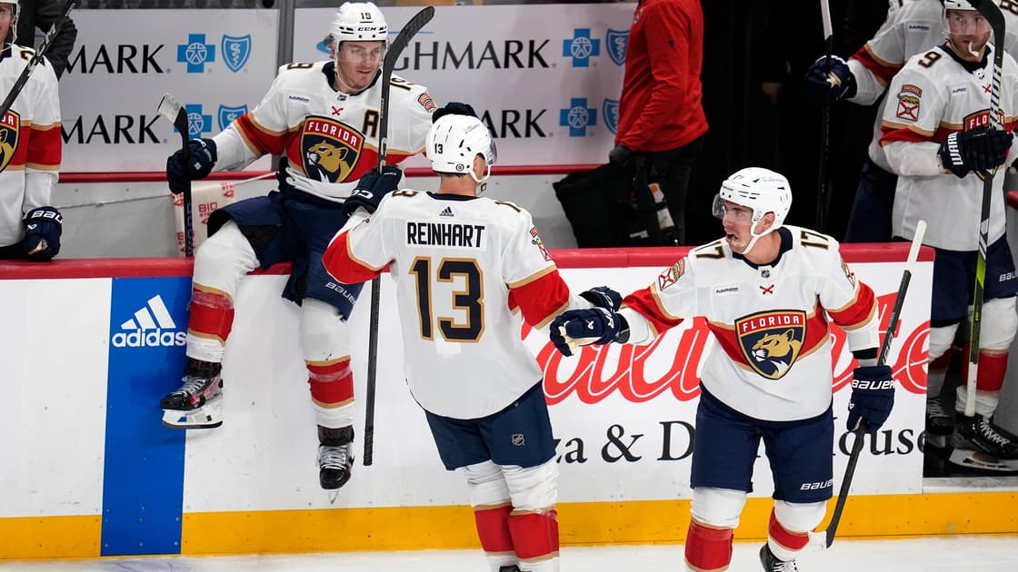 Florida panthers