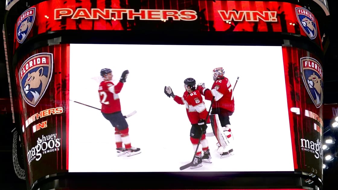 Florida panthers