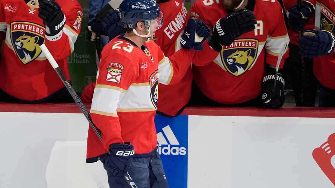Florida panthers