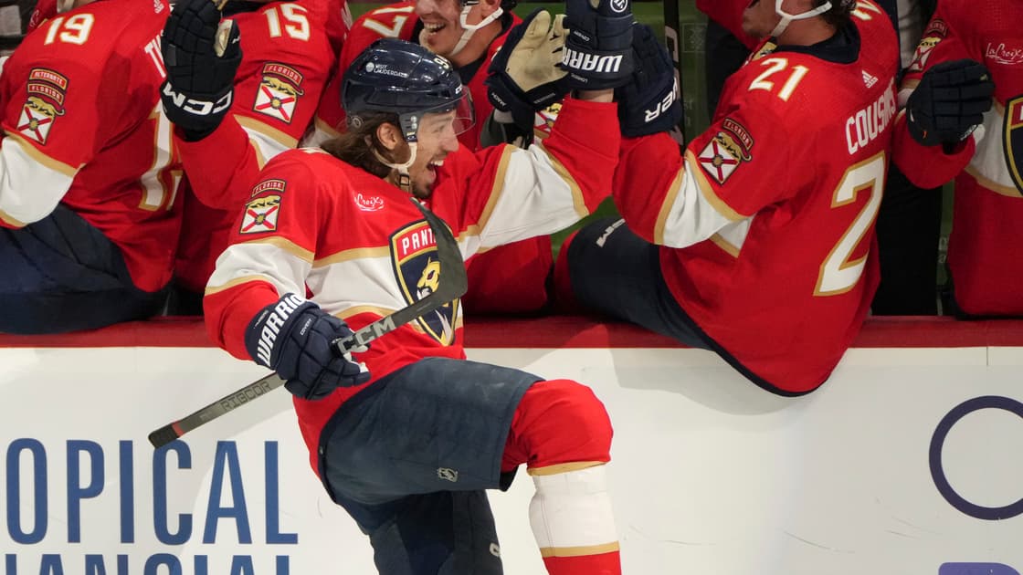Florida panthers