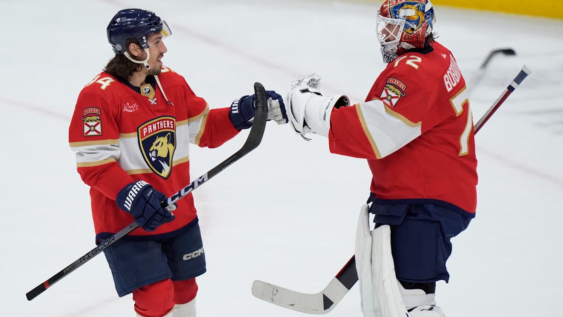 Florida panthers