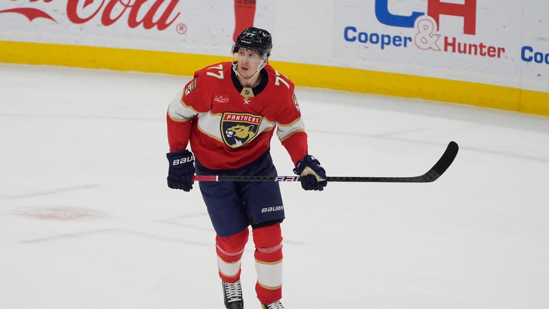 Florida panthers