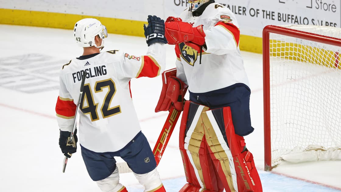 Florida panthers