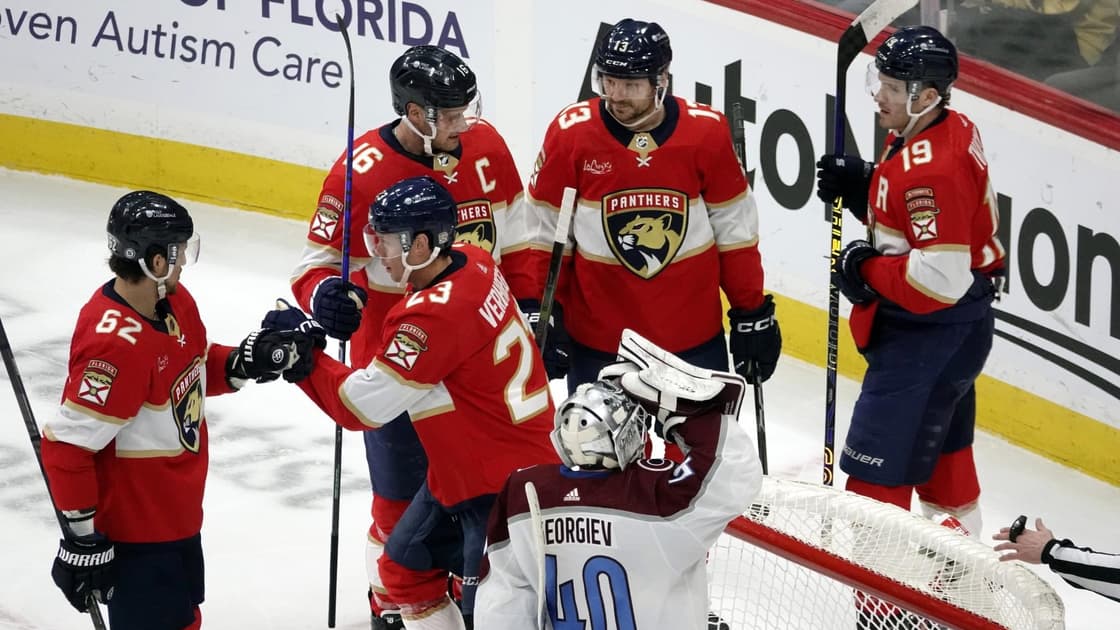 Florida panthers