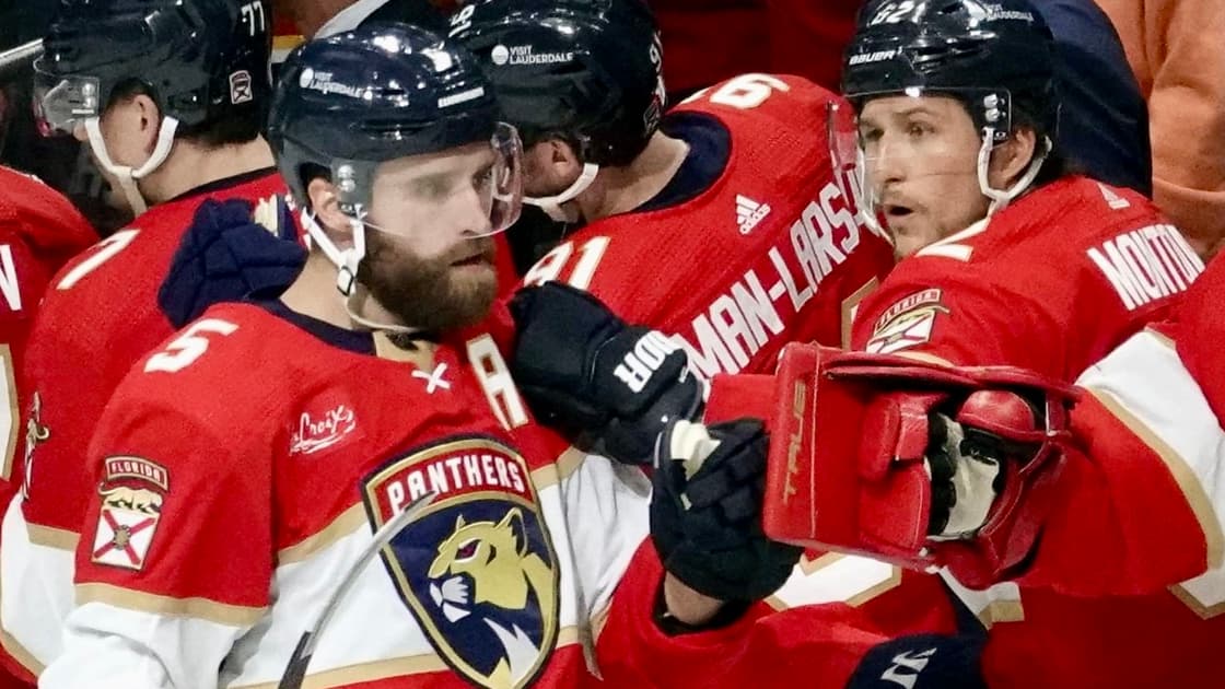 Florida panthers