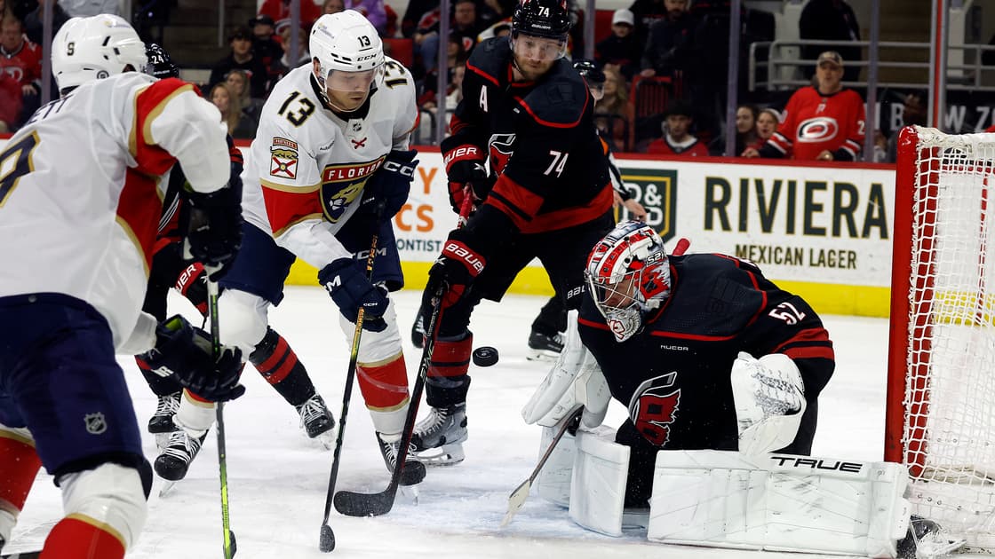 Florida panthers