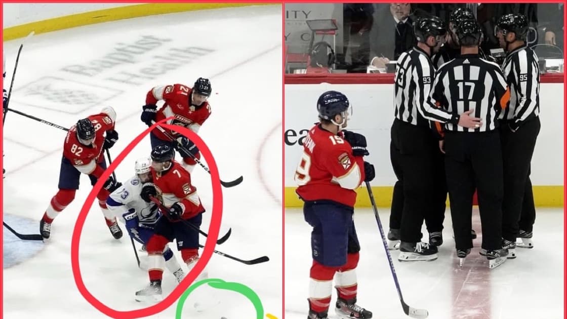 Florida panthers
