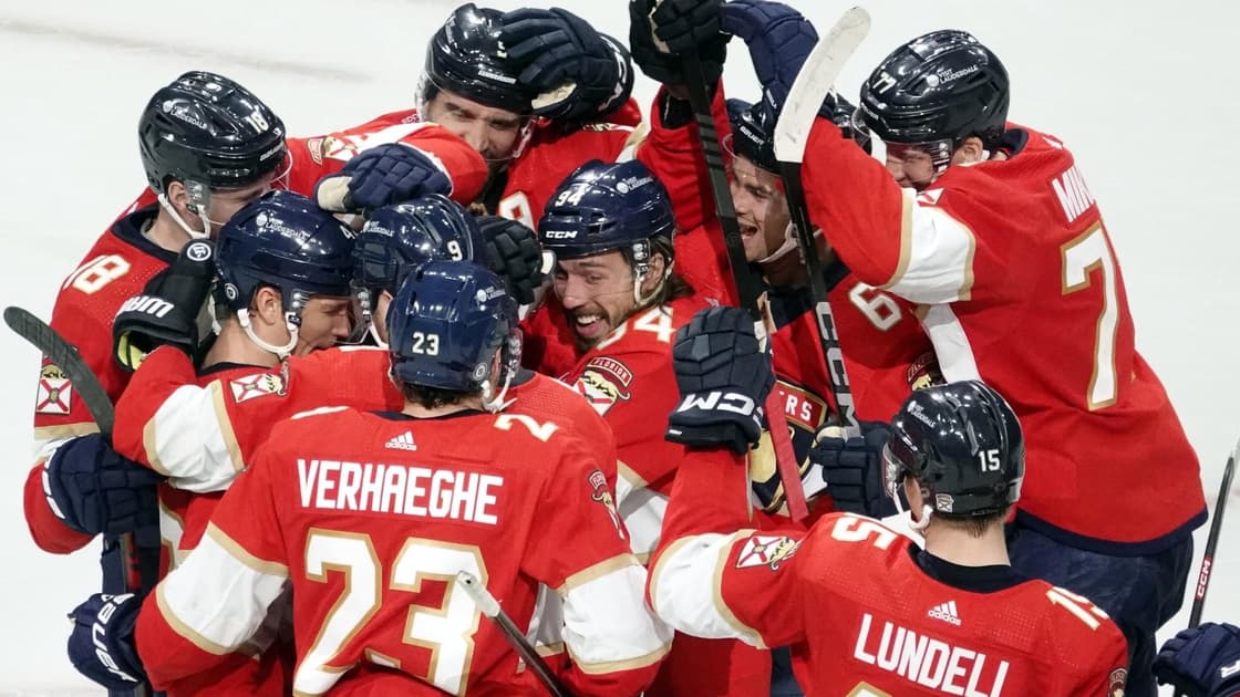 Florida panthers