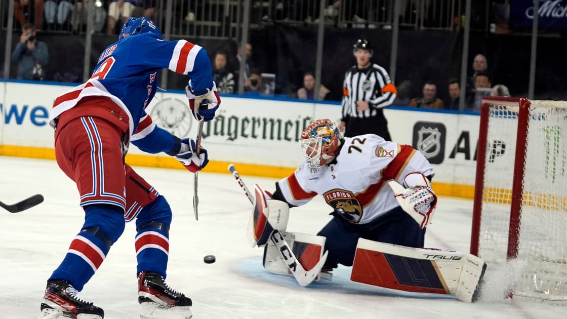 Florida panthers