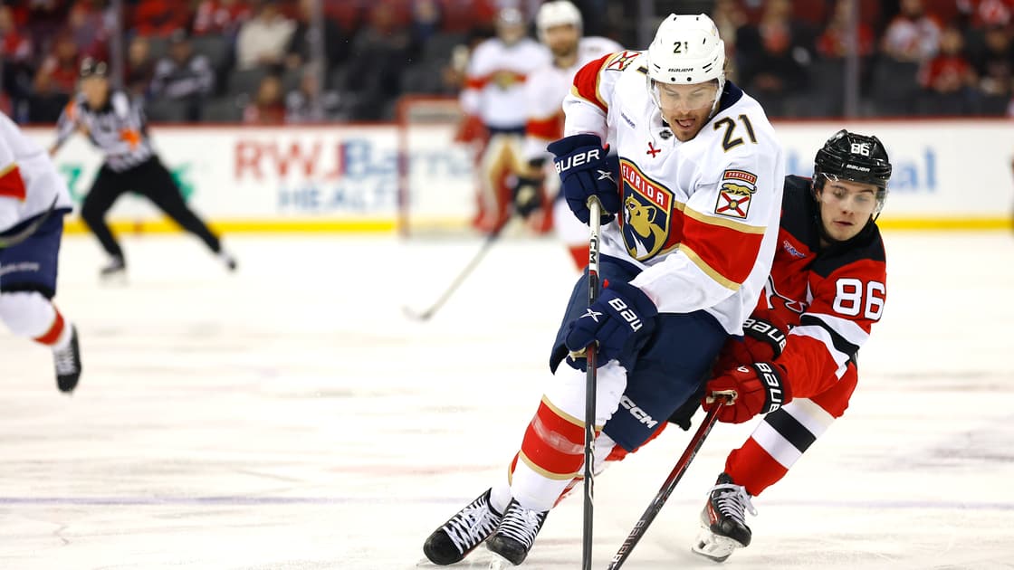 Florida panthers