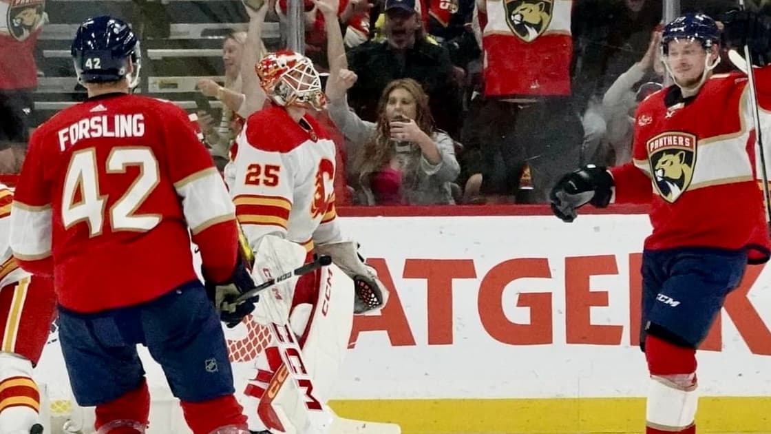 Florida panthers