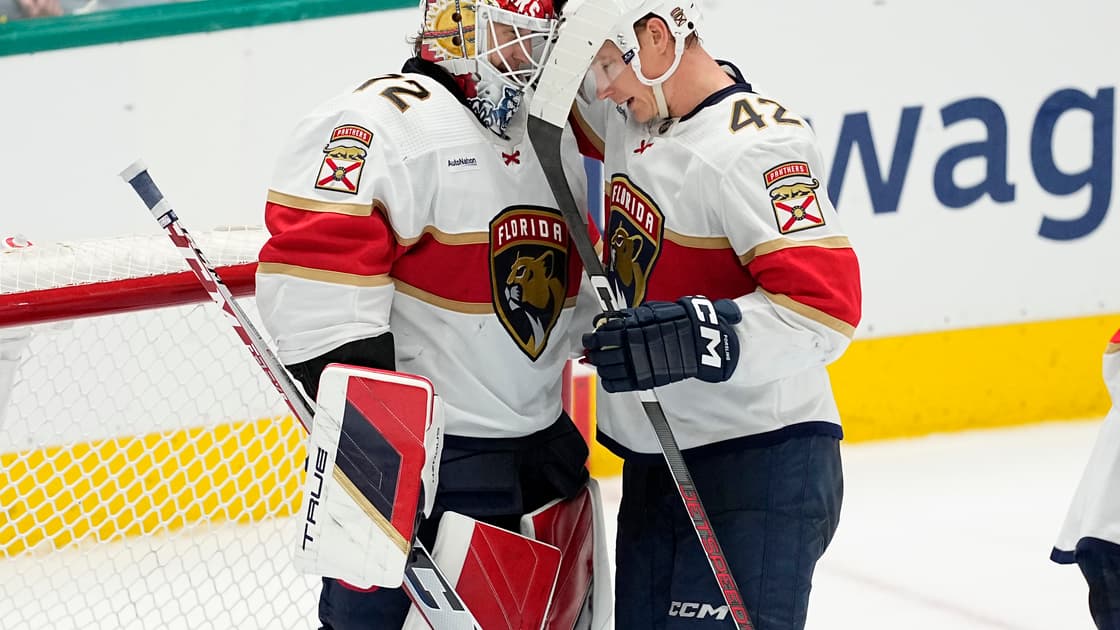 Florida panthers