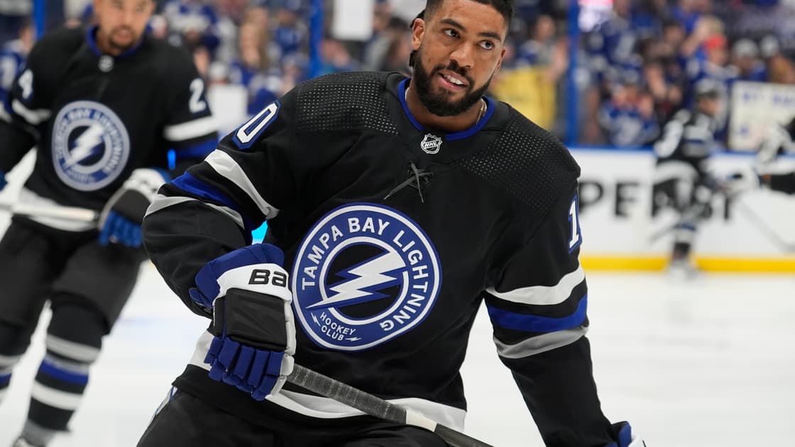 Duclair panthers