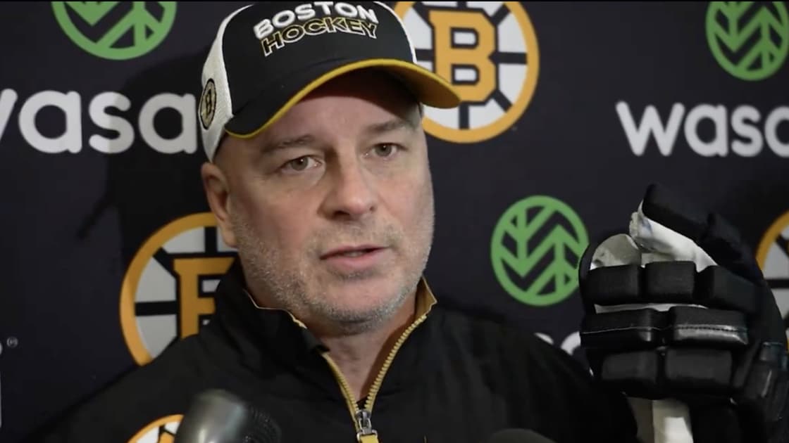 Panthers bruins