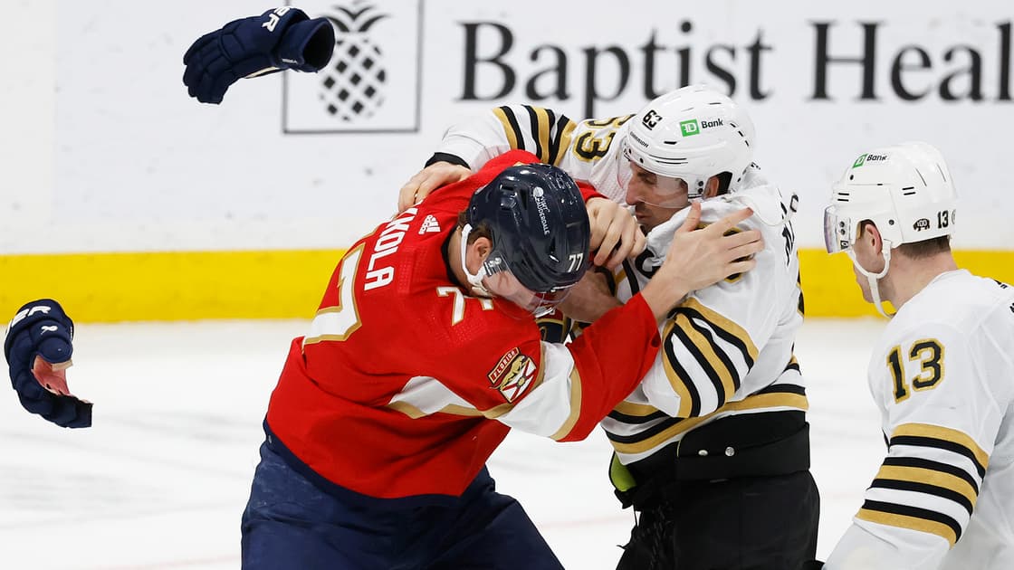 Florida panthers