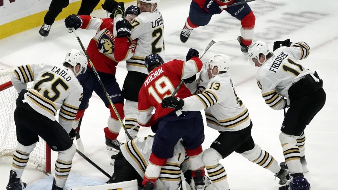 Panthers bruins