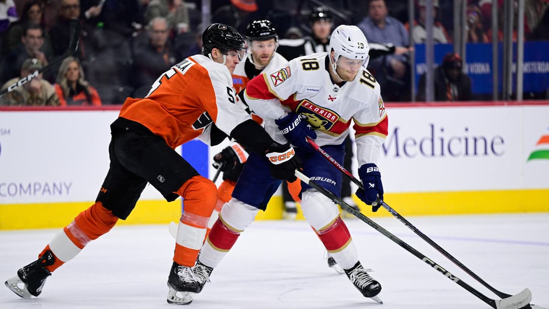 Florida panthers