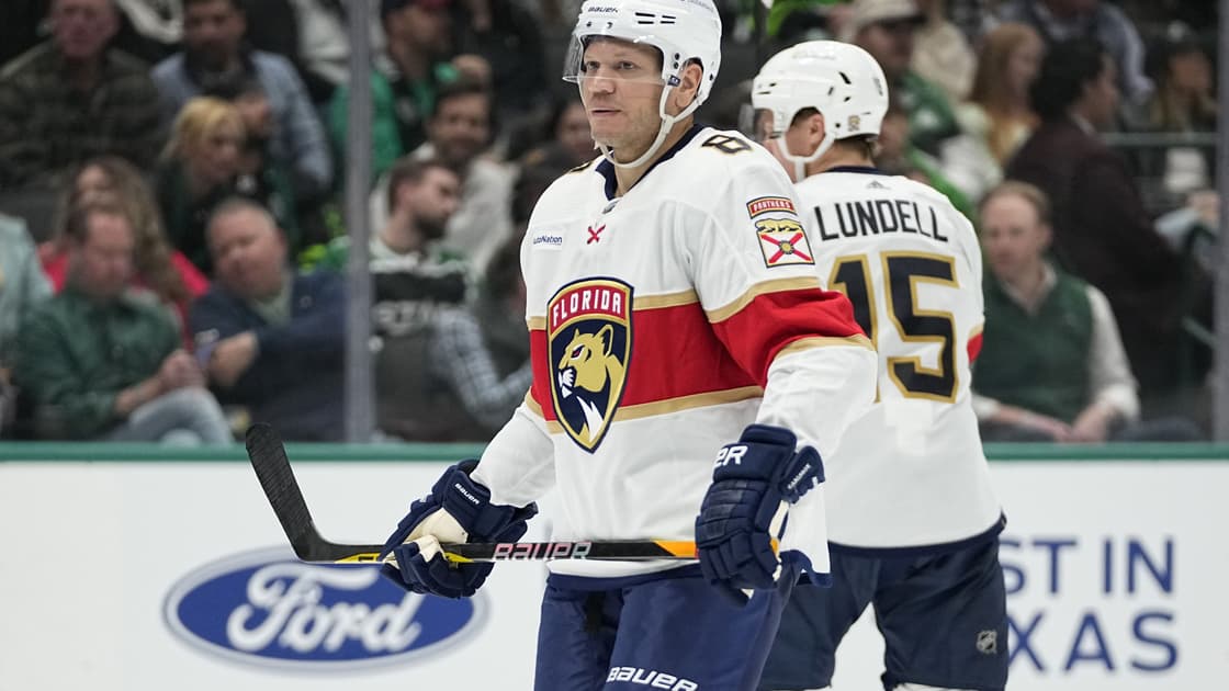 Florida panthers