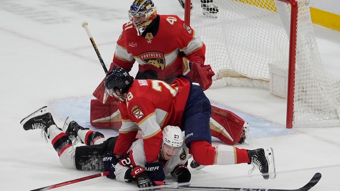 Florida panthers