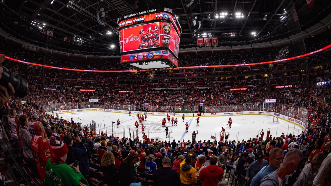 Florida panthers