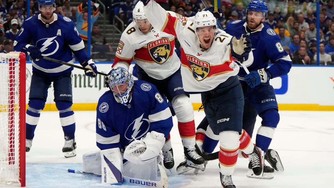 Florida panthers