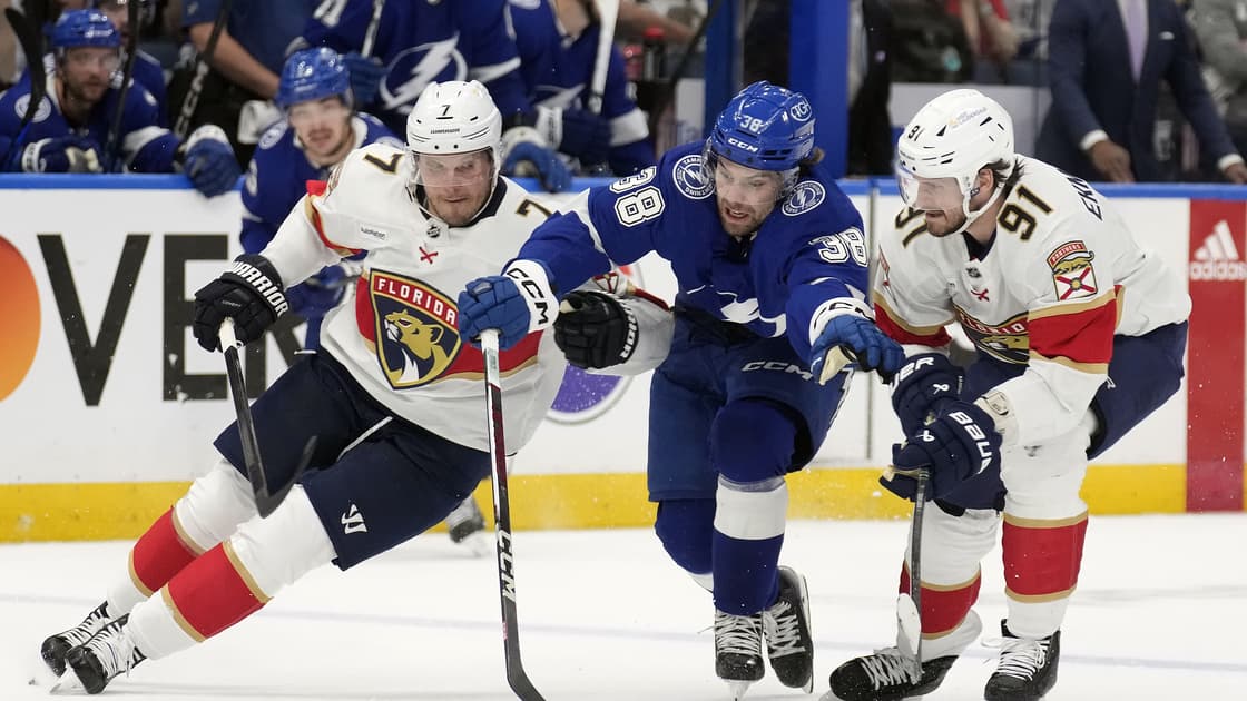 Florida panthers