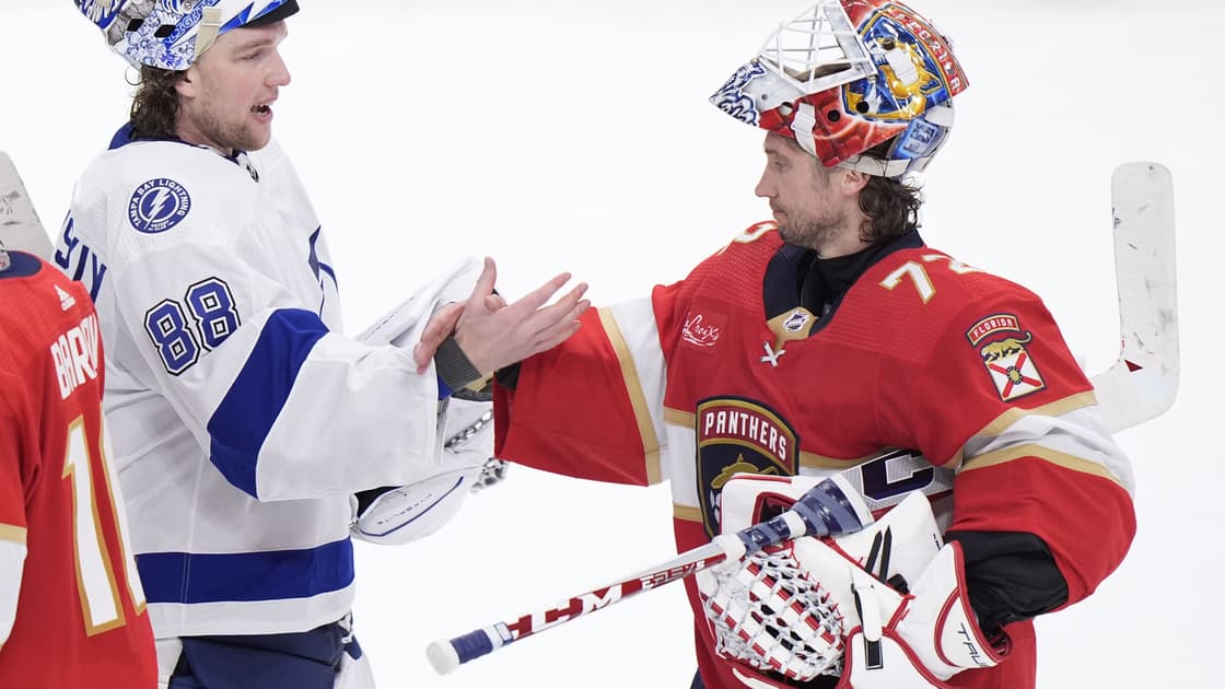 Florida panthers