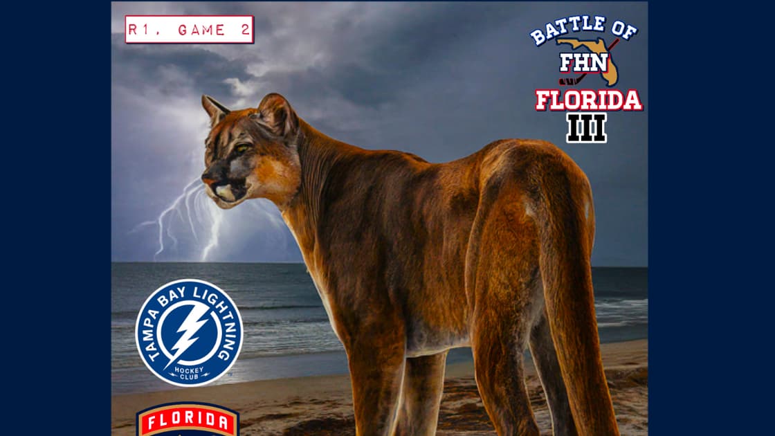 Panthers lightning