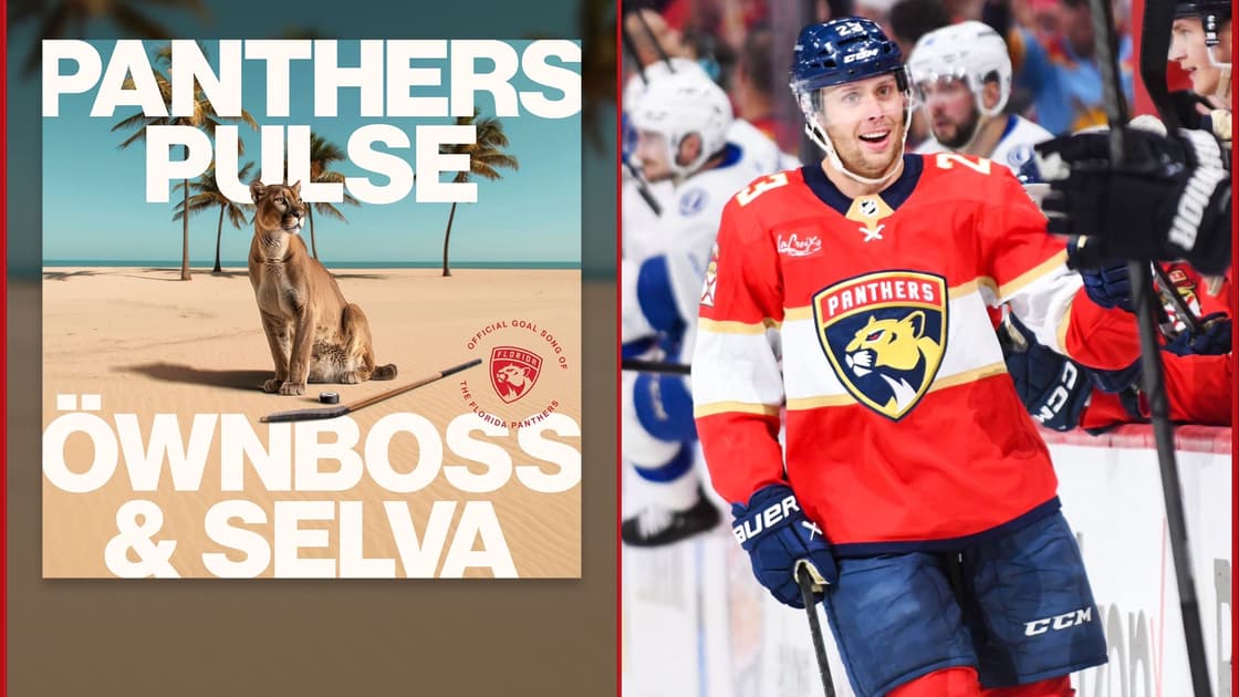 Panthers goal song
