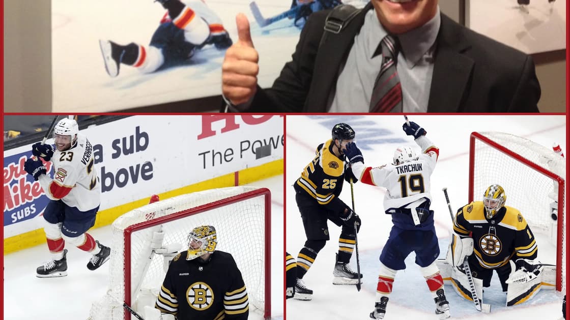 Florida panthers