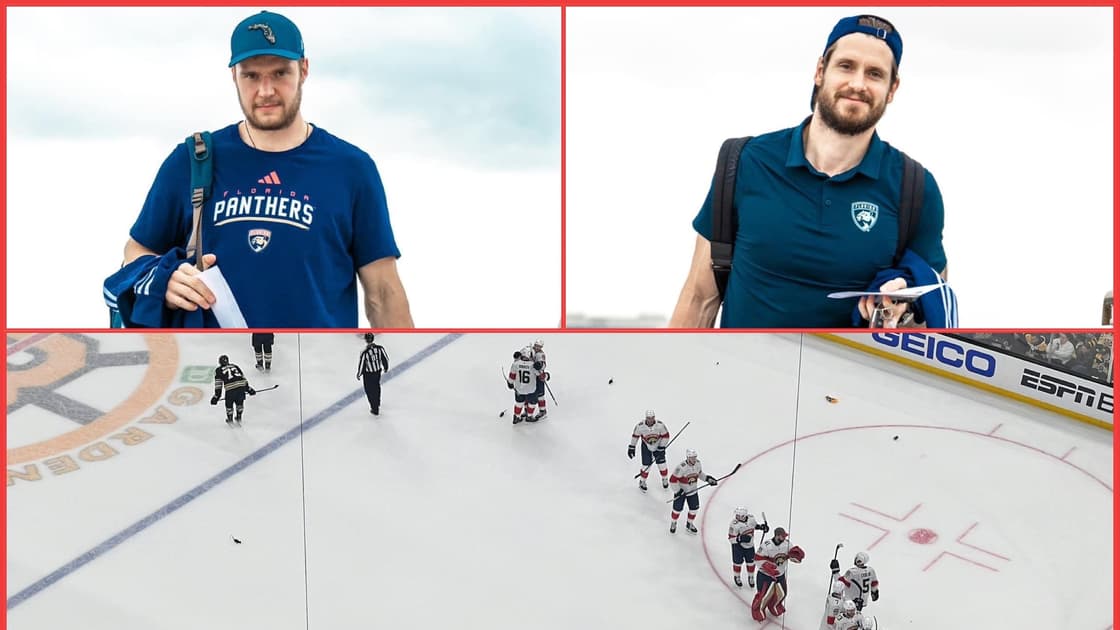 Florida panthers
