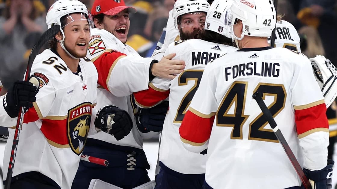 Florida panthers