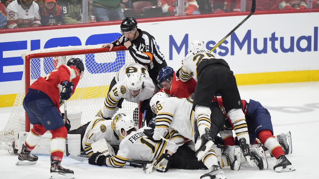 Panthers bruins