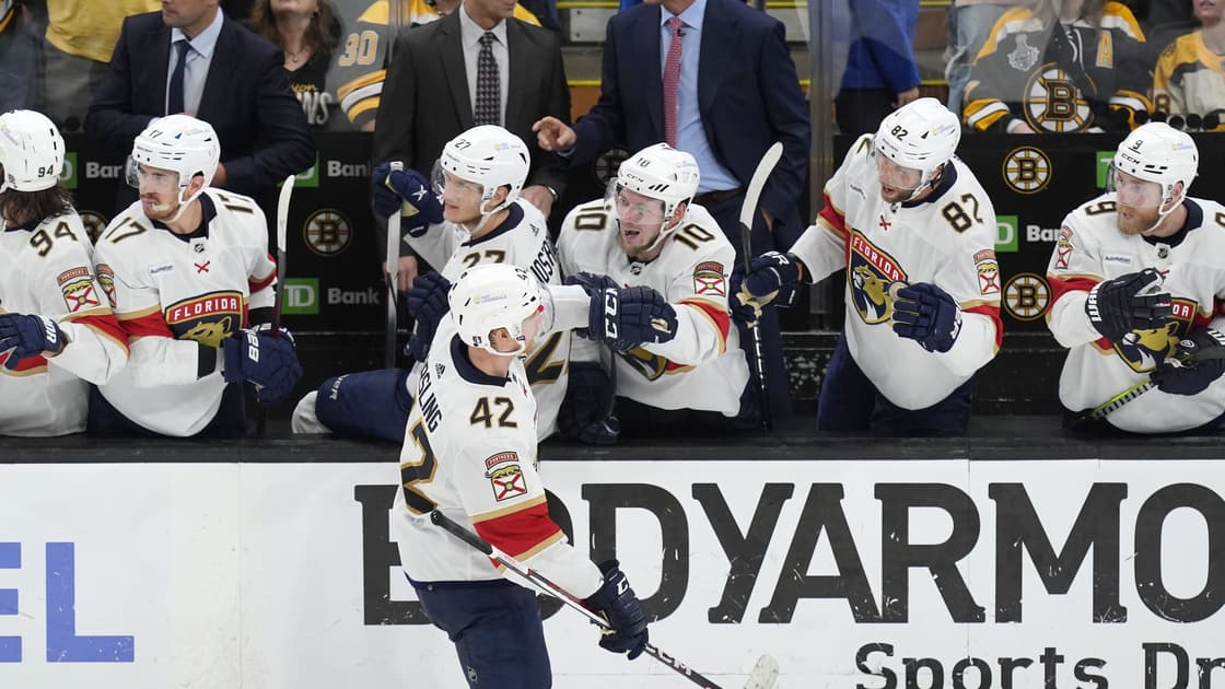 Florida panthers