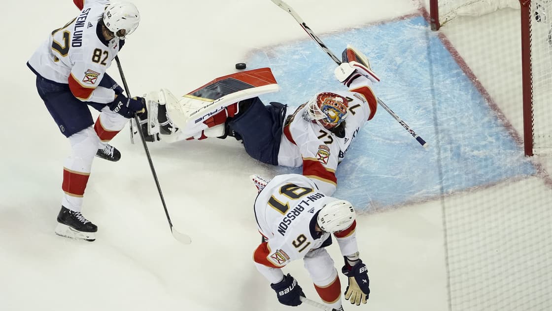 Florida panthers
