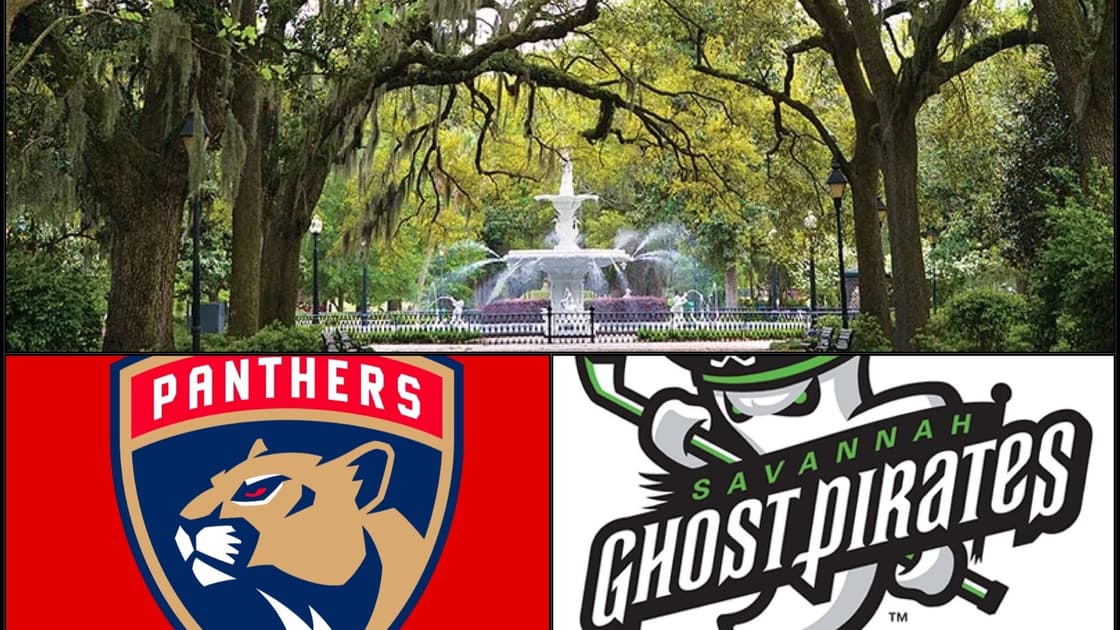 Florida panthers