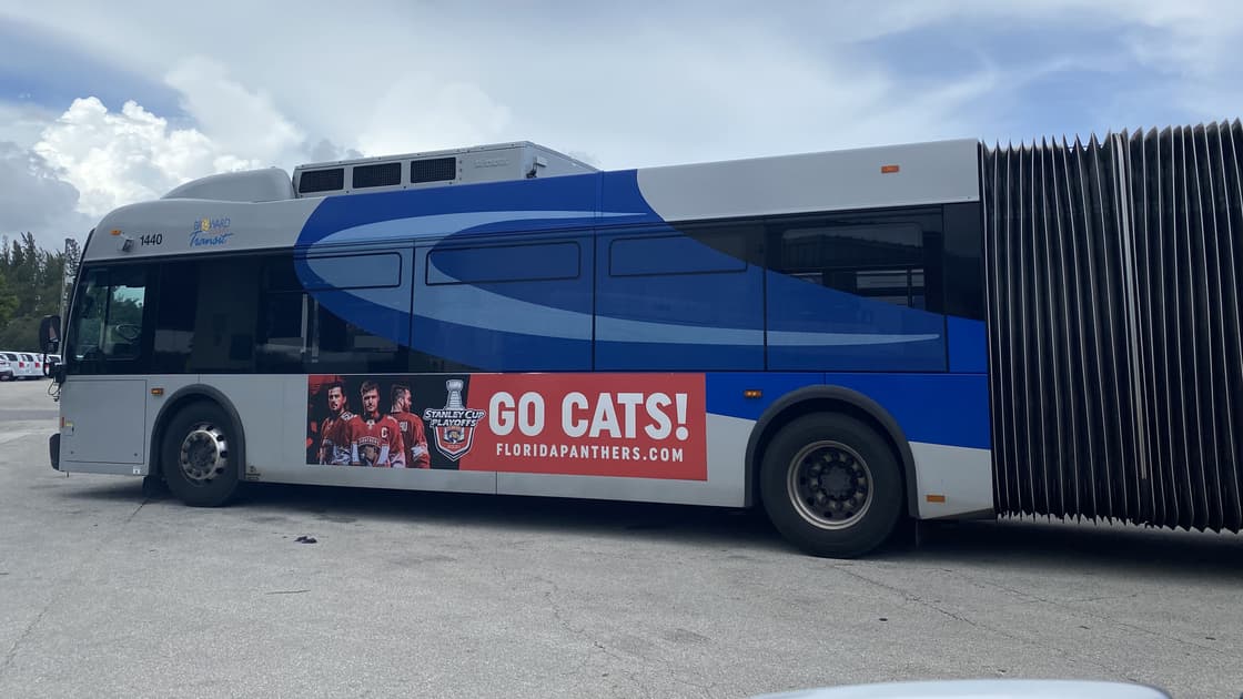 Florida panthers