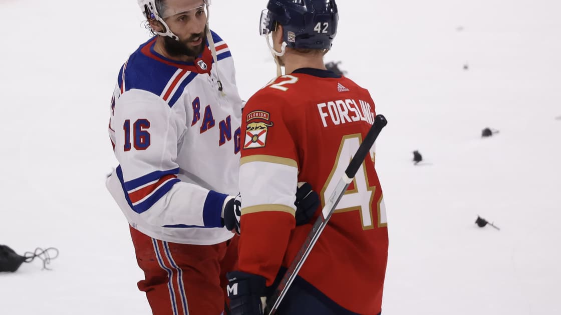 Florida panthers
