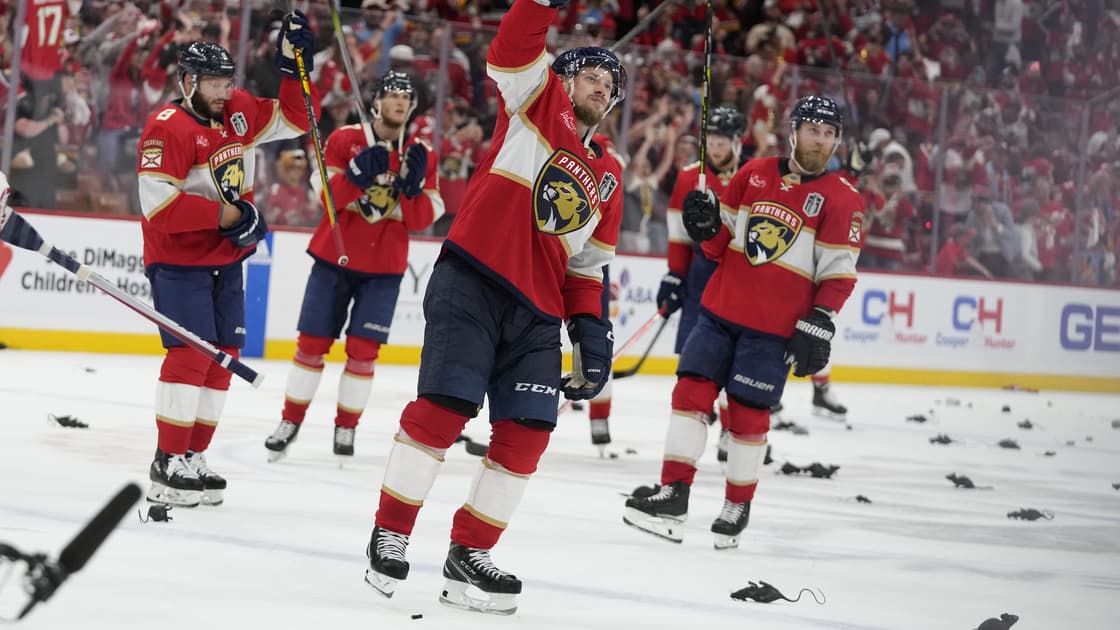Florida panthers