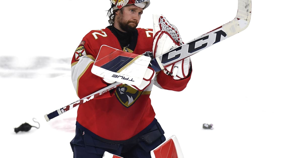 Bobrovsky