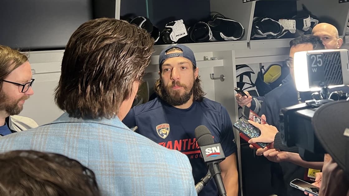 Florida panthers
