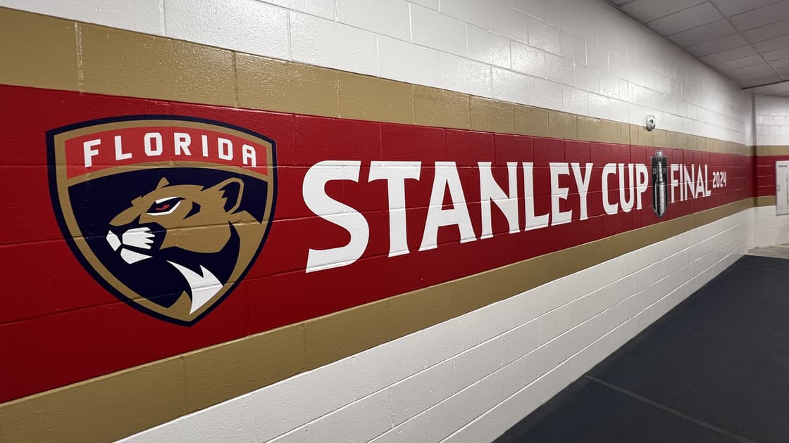 Florida panthers
