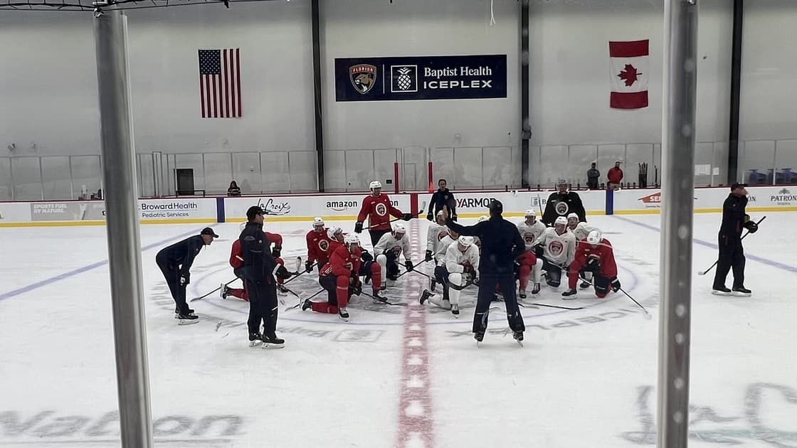 Florida panthers