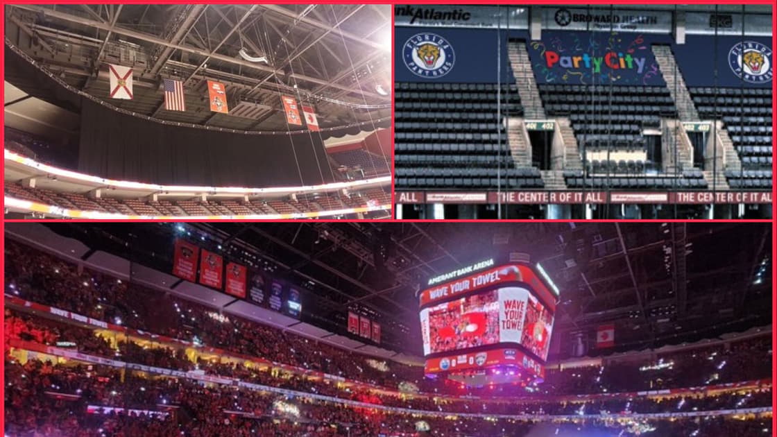 Florida panthers
