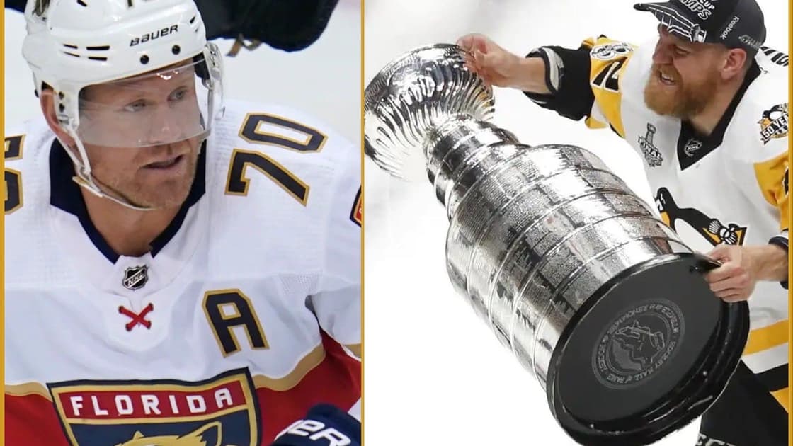 Hornqvist cup